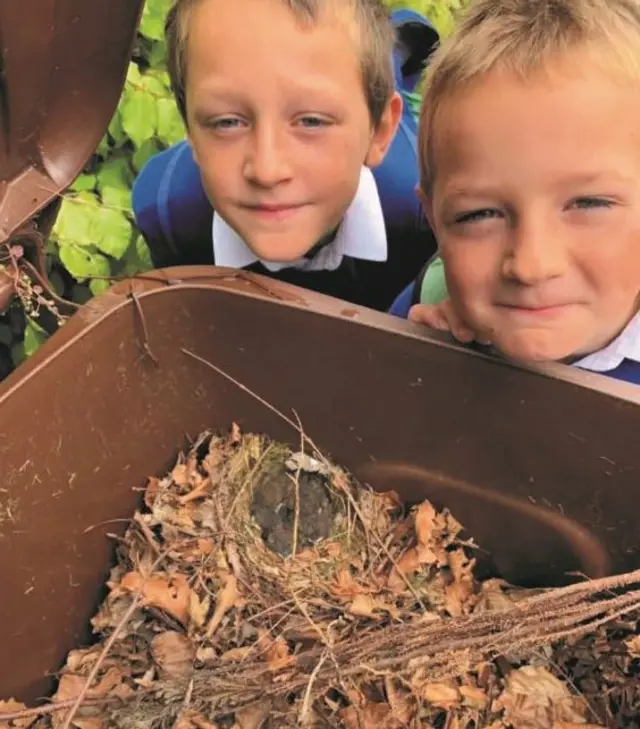 The children and the nest