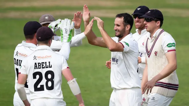 Somerset celebrate