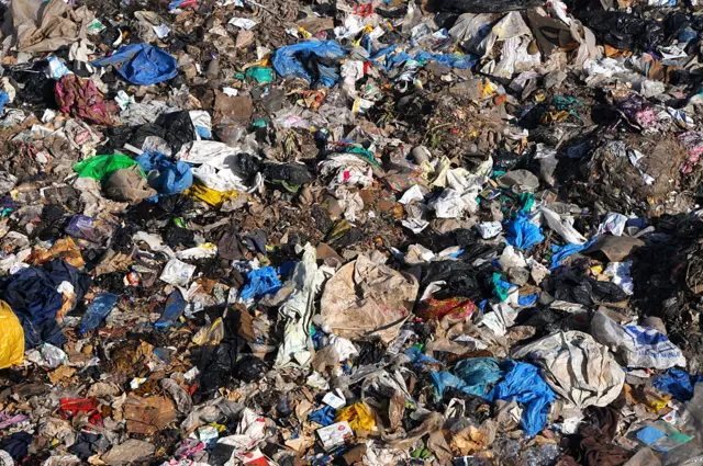 Plastic bags at a dump site