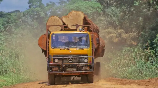 a truck carrying logs