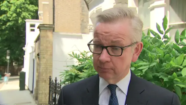 Environment Secretary Michael Gove