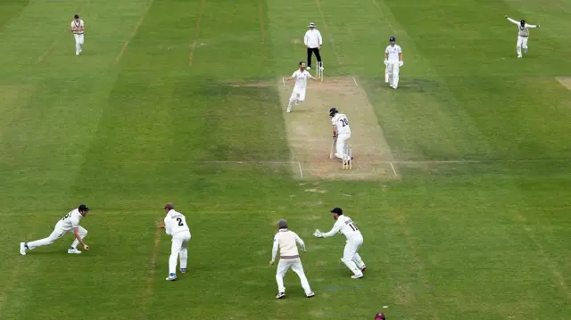 Somerset celebrating victory over Warwickshire