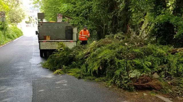 A worker moving the vegetation