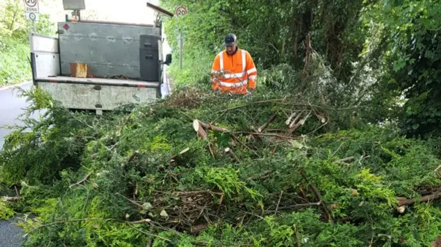 A worker moving the vegetation