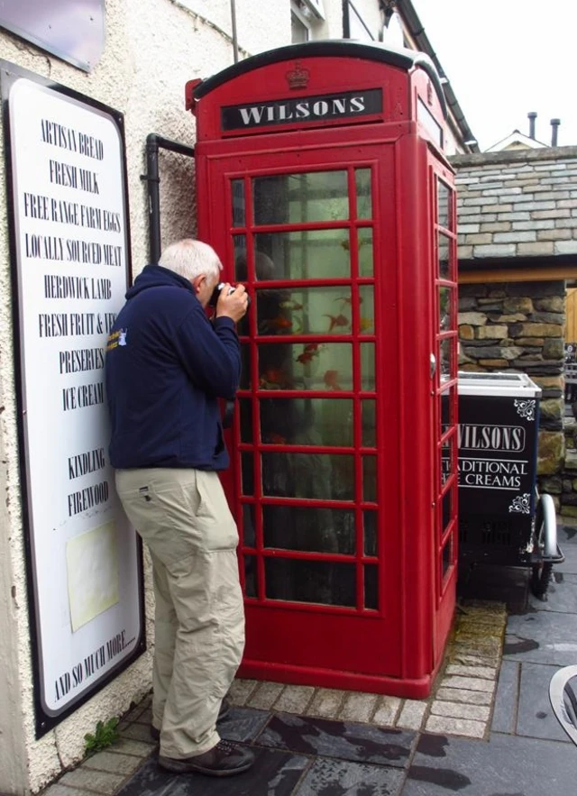 Torver phone box fish tank