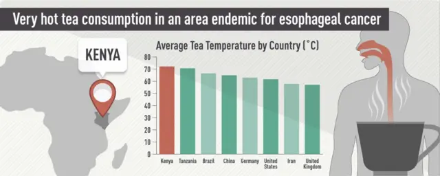 Chart showing tea drinking temperatures