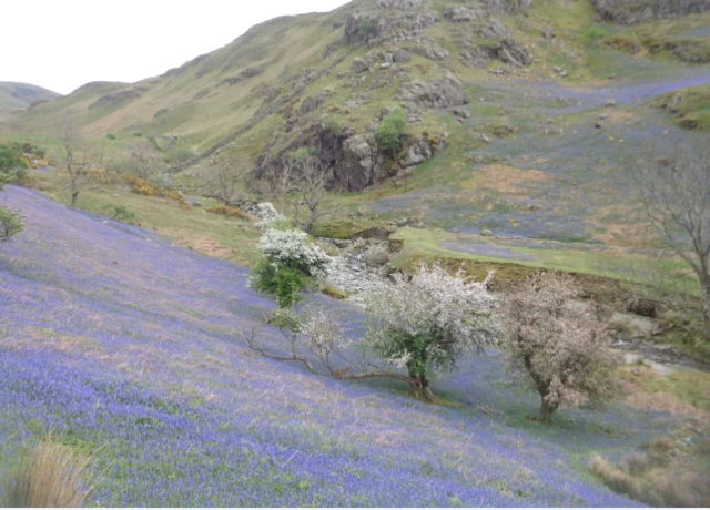 Rannerdale