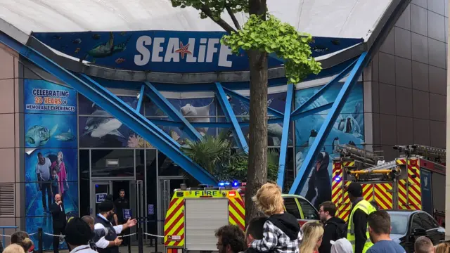 Fire crews outside Sea Life