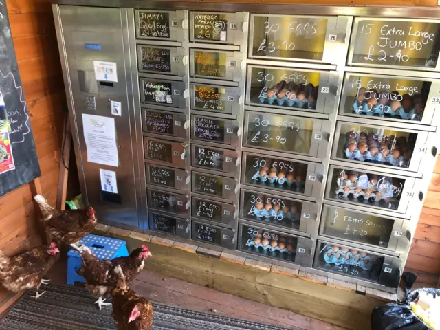 Egg vending machine