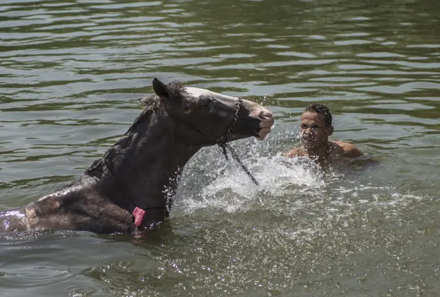 man and his horse swimming in a river