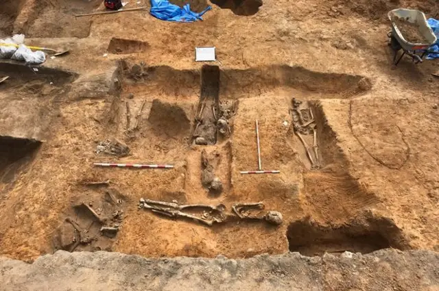 Skeleton