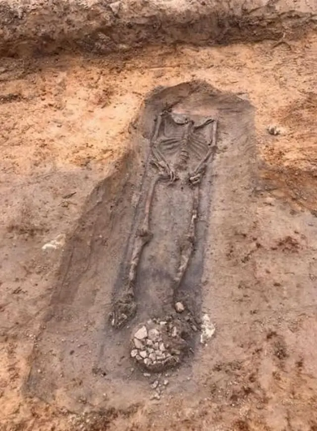 Skeleton