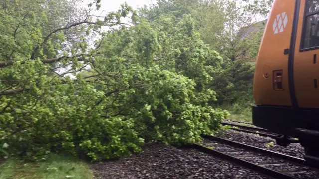 Train next to tree