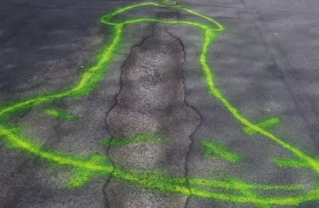 Spray painted penis