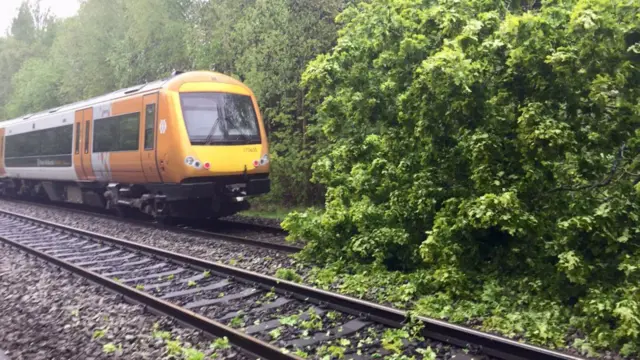 Train next to tree