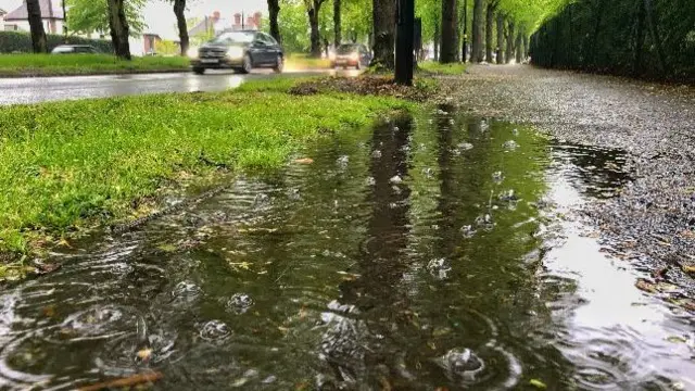 Rain in Selly Park