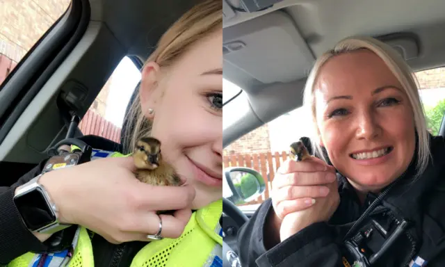 Police officers holding ducklings