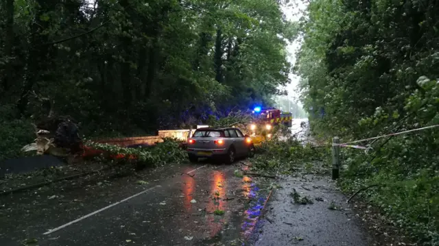 Tree fallen on car in Thurnby