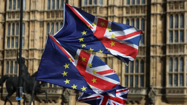 Flags outside Parliament