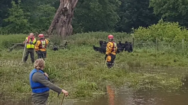 Firefighters with the lambs and ewes