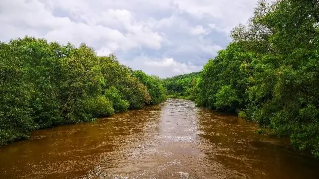 River Severn in Coalport, Shropshire