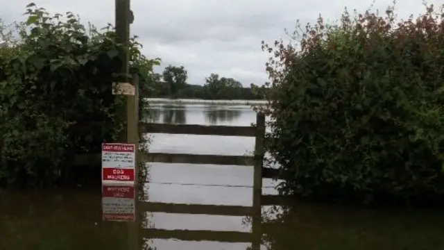 Flooded field