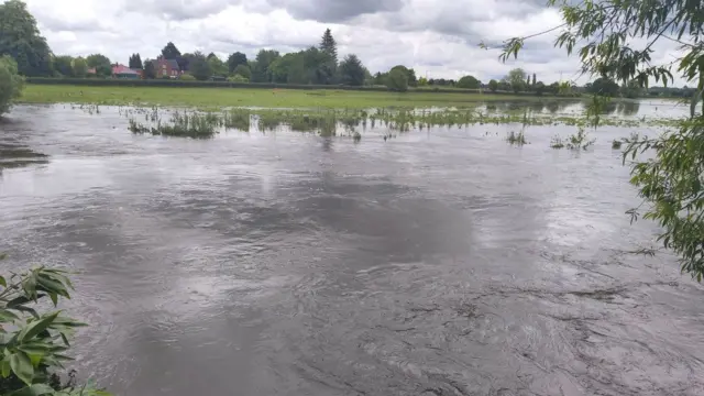 Flooded field