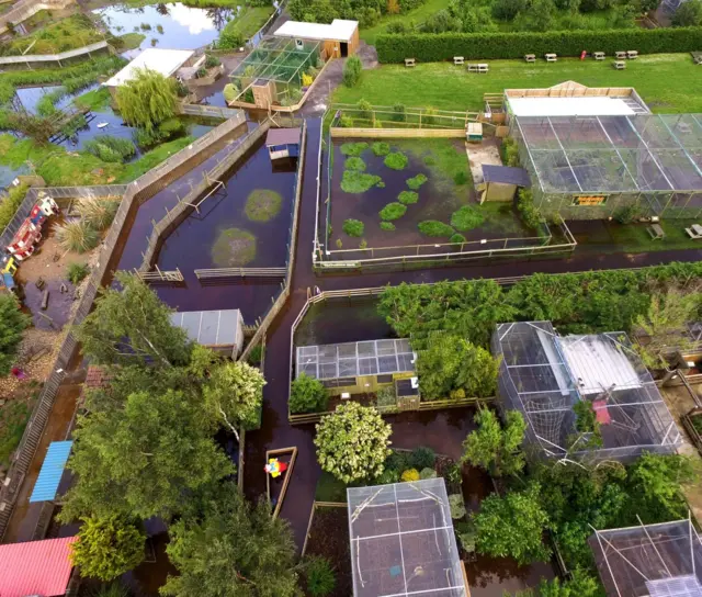 Flooded wildlife park