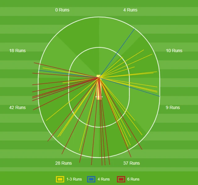 Eoin Morgan wagon wheel