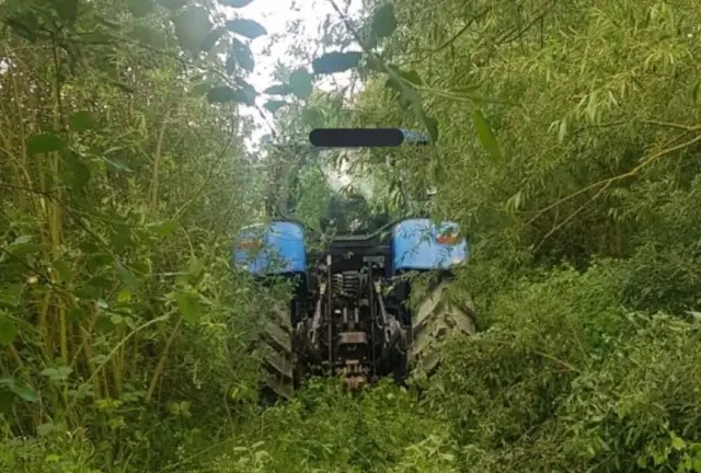 Tractor in the trees