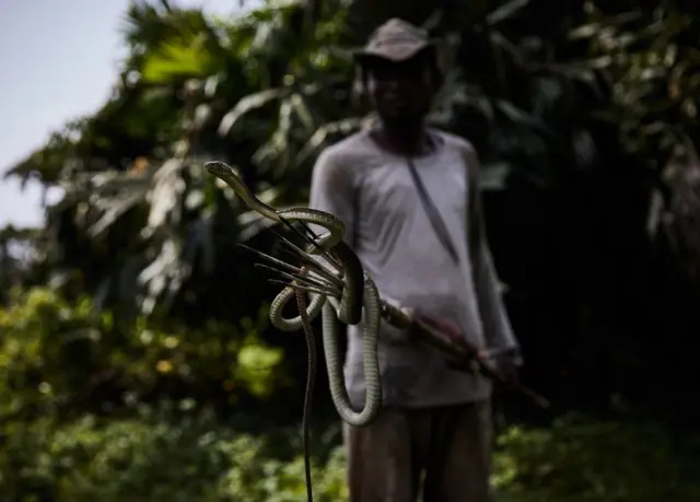 Fisherman holding snake on a stick