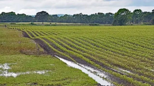 Flooded field in Rednal, Shropshire