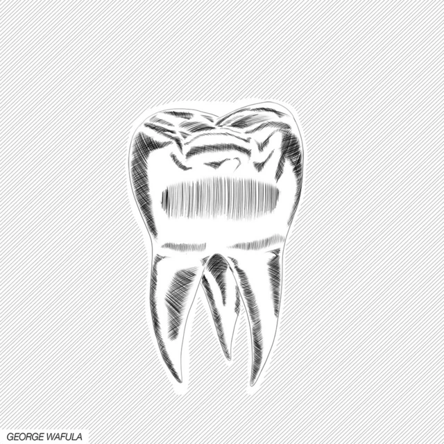 Drawing of a tooth