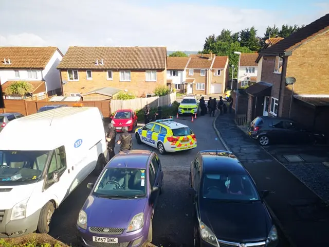 police cars in street