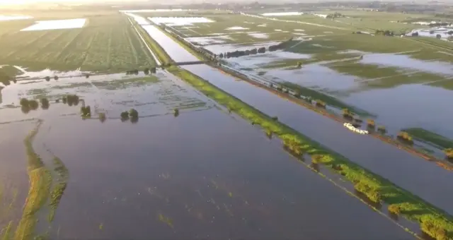 Flooded fields