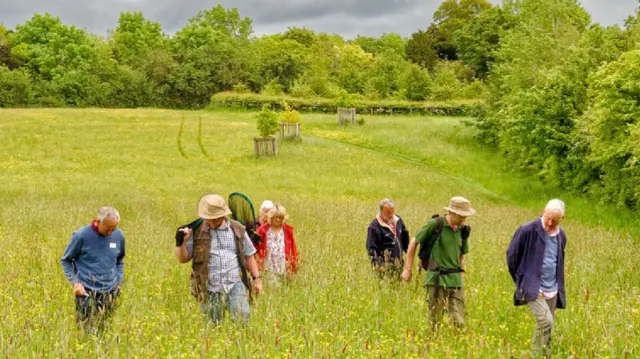 Volunteers in field