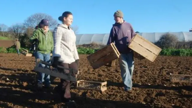 Jersey farmers