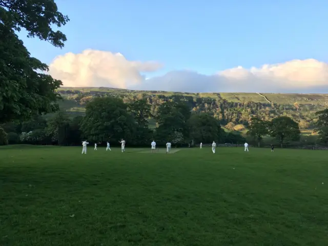 Cricket