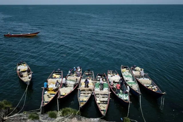 Fishing boats