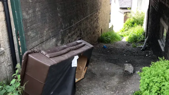 Alley and sofa where guinea pigs were found