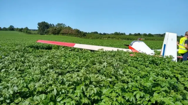 Plane in field