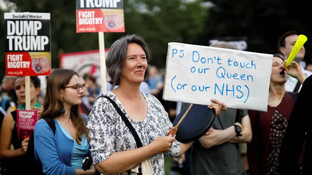 Trump protester