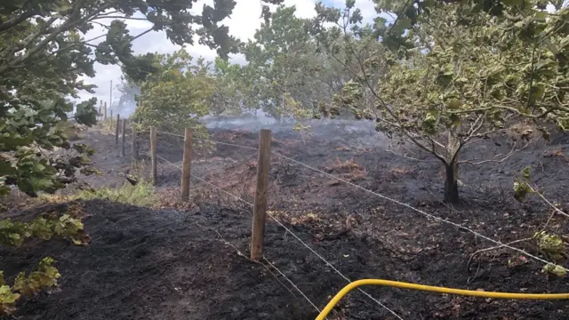 Smoke on Mow Cop