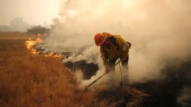 The frequency of wildfires could increase if climate change is unchecked