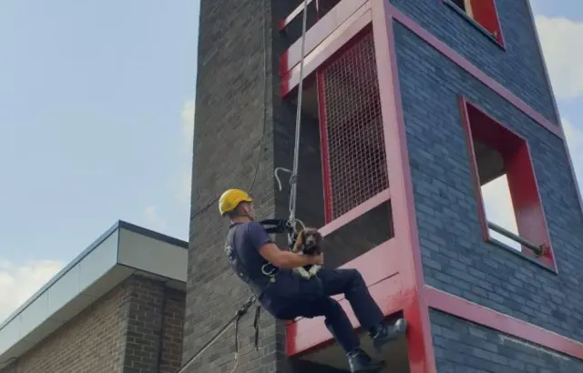 DOG AND FIREMAN ABSEILING