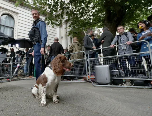 Police dogs in Downing Street