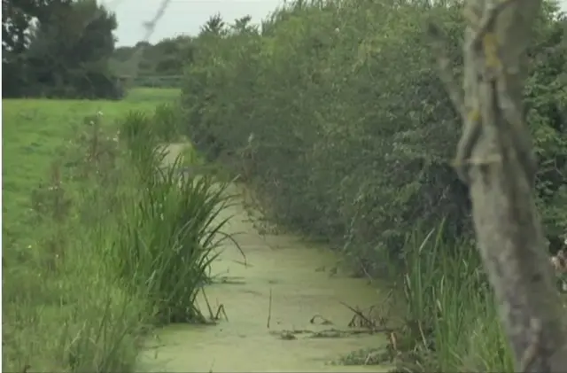 The Gwent Levels