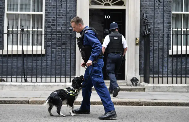 Sniffer dogs in Downing Street