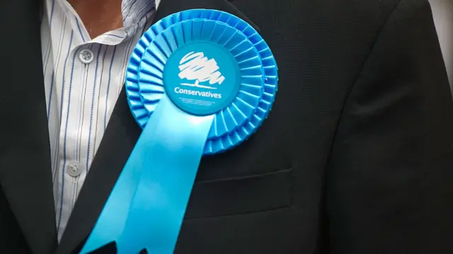 Tory rosette