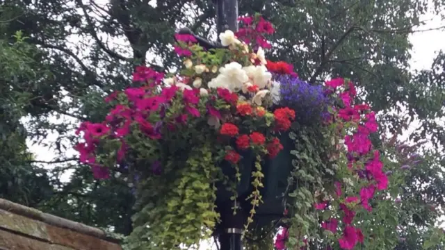 hanging basket lamppost